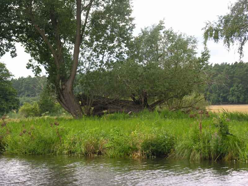 080720-150752a.jpg