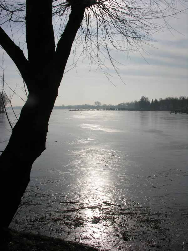090205-120420a.jpg