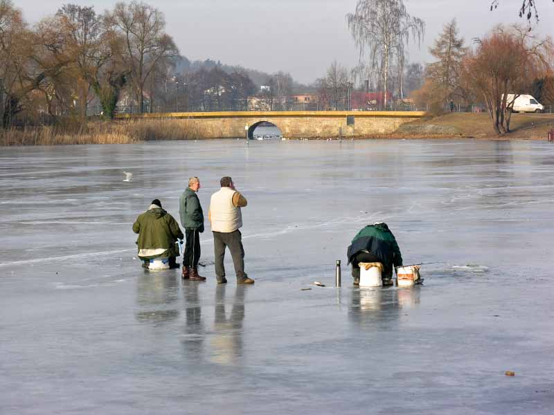 090205-121138a_bearbeitet.jpg