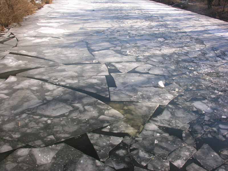 090213-130934a.jpg