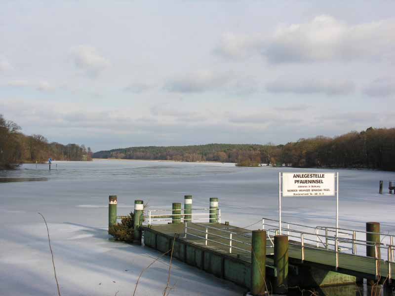 090214-141540a.jpg